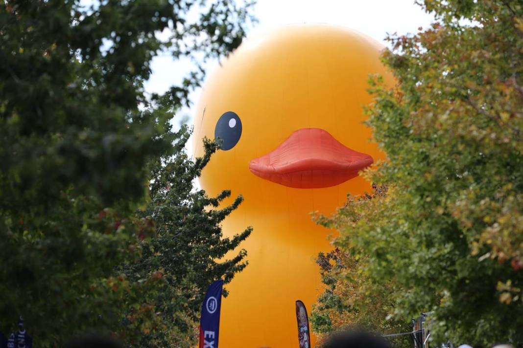 Kente gelen turistler, onu görünce gözlerine inanamadı! Parmakla gösterip endişeyle baktılar 3